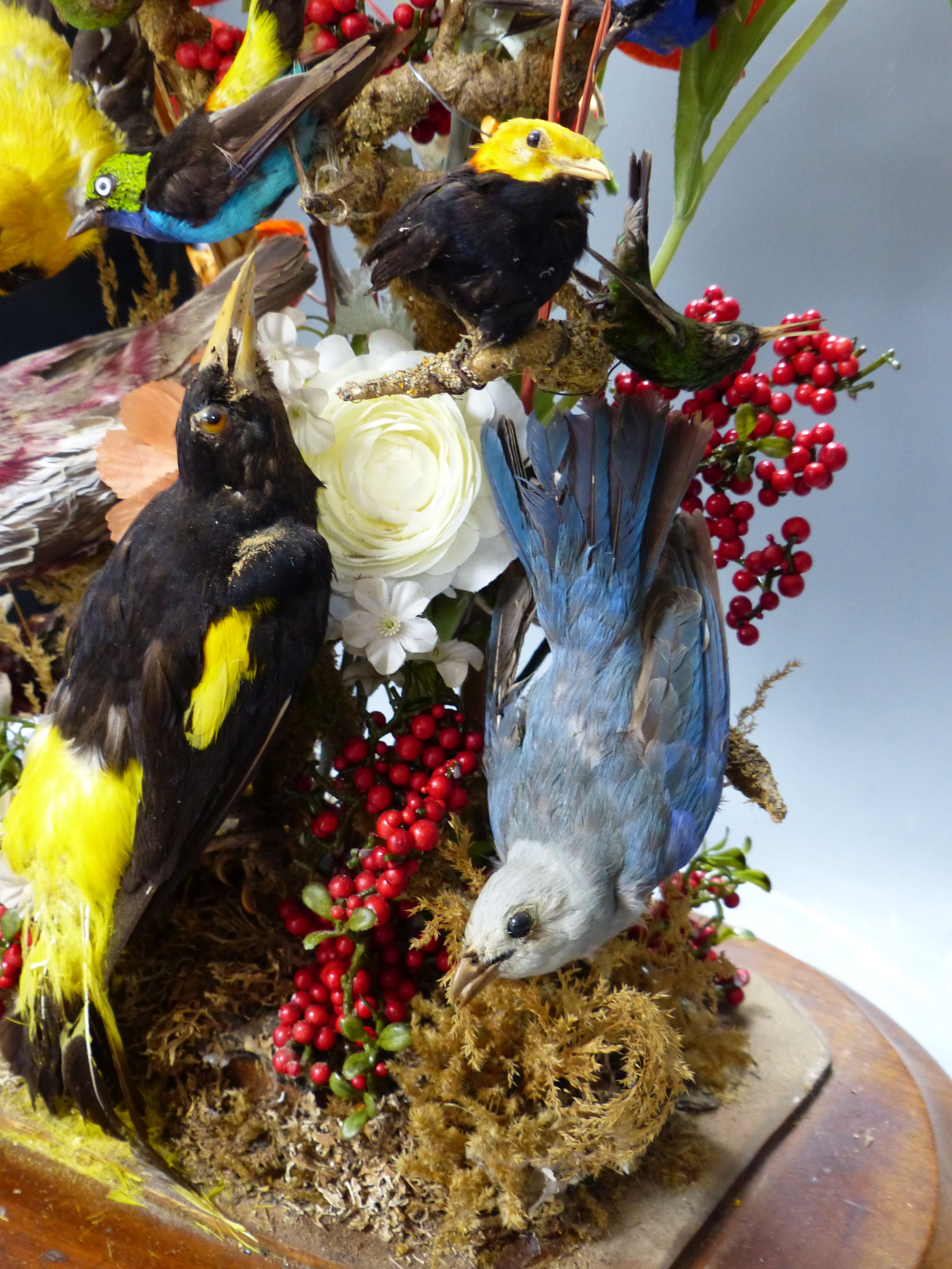 A Victorian still life display of taxidermic canaries, flowers and leaves